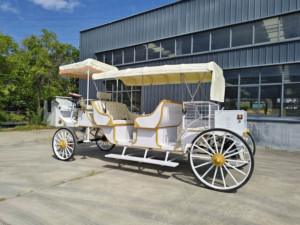 Nuevo Modelo de Carroza Turística Blanca de 5 Plazas con Toldo, Alto Rendimiento y Estabilidad para Bodas y Recorridos Turísticos - Product Image 4