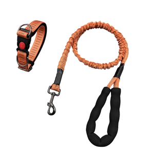 Haustierhalsband & 2,5 cm breites Halsband für mittelgroße und große Hunde mit 130–170 cm elastischer Leine, Anti-Zug-Set für den Spaziergang mit Haustieren für <span class=keywords><strong>Golden</strong></span> <span class=keywords><strong>Retriever</strong></span> - Product Image 6