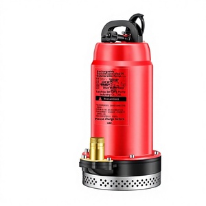Bomba Sumergible de Alta Potencia con Control Remoto Inalámbrico y Batería de Litio para Agricultura, Motor de Acero y Cuerpo de Hierro Fundido para Riego - Product Image 1