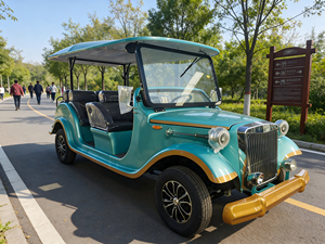 Venta Directa de Fábrica: Auto Clásico Vintage de 5-11 Asientos, Gran Autonomía, Conducción Silenciosa, Fuerte Capacidad de Subida, Alta Carga, Certificado, Nuevo Estilo - Product Image 1