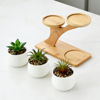 Pot en céramique émaillée écologique Simple réservoir de riz charnu blanc décoration de bureau à la maison mignonne