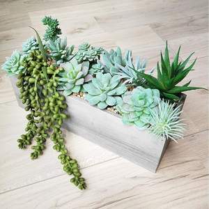 Mini <span class=keywords><strong>suculentas</strong></span> artificiales sin maceta flocado verde Echeveria Agave flor decoración en varios estilos <span class=keywords><strong>y</strong></span> tamaños - Product Image 4