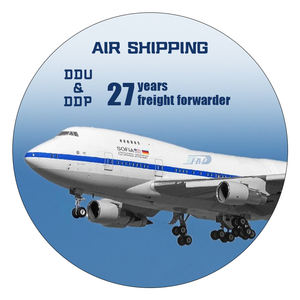 Профессиональный агент по логистике DHL UPS Fedex Air/Sea Shipping FCL/LCL экспедитор услуги экспедитора на Мальдивы мужской - Product Image 2