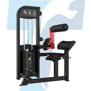 Cheap TZ G - 5006 Strength Pin Loaded Back Extension Gym Machine Tianzhan Fitness