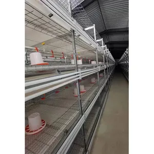 Jaula para aves de corral tipo A, jaula para ponedoras automáticas con precio preferencial