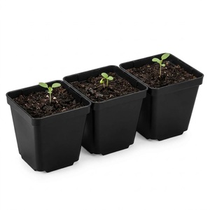 Macetas Cuadradas de Plástico Negro con Orificios de Drenaje para Plantas Verdes y Flores, Diseño Moderno y Minimalista para Jardín - Product Image 5