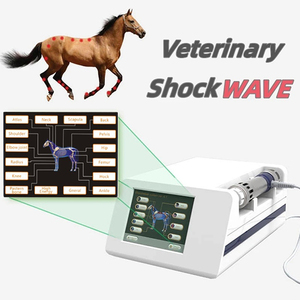 <span class=keywords><strong>ESWT</strong></span> <span class=keywords><strong>Shockwave</strong></span> Therapy <span class=keywords><strong>Machine</strong></span> Vet Use Focalisé Électromagnétique <span class=keywords><strong>Shockwave</strong></span> Dysfonction érectile Therapy <span class=keywords><strong>Machine</strong></span> pour Animaux - Product Image 2