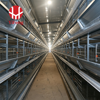 Cages à volailles pour 120 poulets, cage à poules pondeuses en structure en H, cage à poulets automatique, cage d'élevage de poules pondeuses en enclos fermé