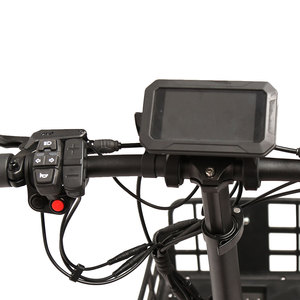 TXED-Trottinette électrique pour adulte, guidon plat en alliage de 20 pouces, double puissance de 250W, gros pneus, pour neige - Product Image 6