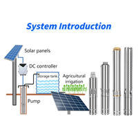 Pompe à eau solaire efficace avec panneau solaire, pompe submersible en acier inoxydable pour l'irrigation agricole en profondeur