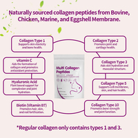 Poudre de peptides de collagène multi-sources à marque privée, peptides de protéines hydrolysées avec acide hyaluronique, biotine et vitamine C