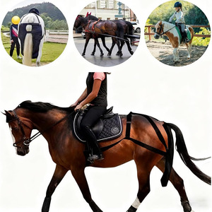 Sacs écologiques pour <span class=keywords><strong>fumier</strong></span> <span class=keywords><strong>de</strong></span> <span class=keywords><strong>cheval</strong></span>, faciles à nettoyer, imperméables, tailles moyennes et grandes, pour mariages, écuries, véhicules, livraison directe - Product Image 3