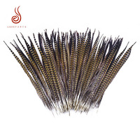 Usine chinoise Vente en gros 55-60cm Plume de faisan naturelle pour la décoration de la maison