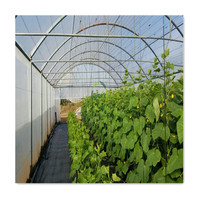 Serre de culture intérieure 8x25m, kit complet en métal, filet d'ombrage, plastique naturel, serres agricoles commerciales