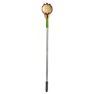 Palo <span class=keywords><strong>de</strong></span> recolección telescópico <span class=keywords><strong>de</strong></span> acero inoxidable con mango largo, herramienta <span class=keywords><strong>de</strong></span> recolección <span class=keywords><strong>de</strong></span> árbol naranja <span class=keywords><strong>de</strong></span> manzana con bolsa, cesta, recolector <span class=keywords><strong>de</strong></span> fruta - Product Image 1