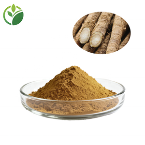 工場供給 大量 プライベートラベル ゴボウ根エキス ゴボウ根粉末 乾燥ゴボウ根 - Product Image 2