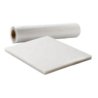 Film PP mat transparent jetable pour impression sérigraphique 20x24 A4, résistant à l'eau