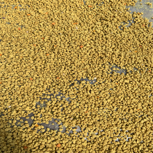 Poudre de <span class=keywords><strong>pollen</strong></span> <span class=keywords><strong>d</strong></span>'<span class=keywords><strong>abeille</strong></span> 100% pure de haute qualité, naturelle, en vrac, 20 kg/carton, durée de conservation de 2 ans - Product Image 6