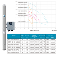 Pompe submersible solaire AC/DC à double alimentation pour puits profond, hauteur de refoulement 95m, avec contrôleur MPPT externe