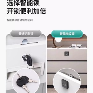 Fingerprint <b>Lock</b> Drawer <b>Cabinet</b> <b>Lock</b> 32.3mm Plum Blossom Style Keyless ABS Modern Design Easy Installation - Product Image 2