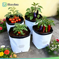 Kantong Tanam Sayuran RAYBO 7L 2 Galon 20+13*27.5cm Tebal 0.12mm untuk Grosir