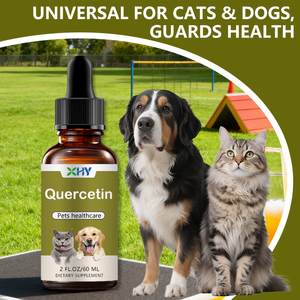 Gocce di Quercetina a Marchio Privato per Integratori per la Salute degli Animali Domestici, 60ml di Gocce Liquide Multivitaminiche - Product Image 6