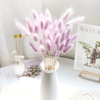 Articles de décoration pour la maison 60 tiges/bouquet séché queue de lapin herbe séchée Lagurus Ovatus fleur décoration de mariage fleurs Bouquets