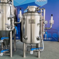 Réservoir à bière brillante personnalisé de 100 L, BBT SUS 304, réservoir brillant, réservoir de stockage de bière, équipement de brassage de bière artisanale