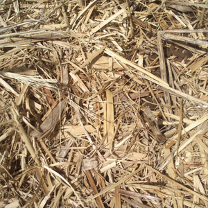 ชานอ้อยอบแห้งสำหรับหมักอาหารสัตว์ที่มีคุณภาพสูง - Product Image 1