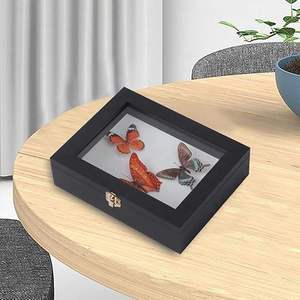 Kit de <span class=keywords><strong>boîte</strong></span> à insectes pour <span class=keywords><strong>entomologie</strong></span>, <span class=keywords><strong>boîte</strong></span> de présentation en bois noir avec mousse EVA et épingles pour spécimens - Product Image 2