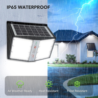L'ABS imperméable extérieur d'IP65 de cour extérieure de parc d'éclairage de mur solaire a mené la lumière solaire de jardin