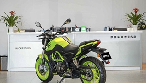 <span class=keywords><strong>Benelli</strong></span> TNT25 (Piccolo Drago Giallo) - Monocilindrico 250cc, Ideale per il Pendolarismo Urbano e Nuovi Motociclisti - Product Image 6