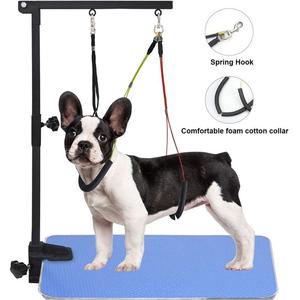 Tables <span class=keywords><strong>de</strong></span> toilettage réglables en acier inoxydable avec boucle <span class=keywords><strong>de</strong></span> retenue pour chien - Product Image 1