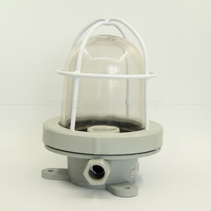 Tahat CCD1-2A Incandescent Cabin <b>Light</b> 220V 60W Plastic IP56 Marine Deck Lighting - Product Image 3
