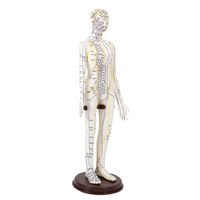 Modèle de points d'acupuncture avec structure du corps humain - Simulateur d'entraînement à l'aiguille en PVC pour l'apprentissage de la médecine traditionnelle chinoise
