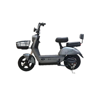 Sepeda Motor Listrik Murah Paige500w untuk Kota, Grosir Sepeda Motor Listrik 350w untuk Wanita Dewasa, Grosir Ebike Becak Kota