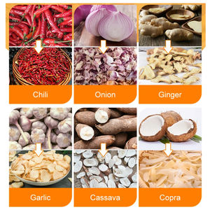 Maquina deshidratadora de alta calidad, Transportadora de frutas, maquina secadora de aire caliente para pescar de mar, - Product Image 6