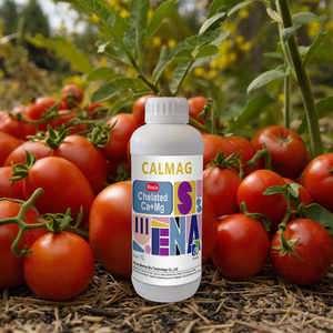 <span class=keywords><strong>Fertilizante</strong></span> Líquido Orgánico Especial de Calcio y Magnesio para Tomates, Repone Rápidamente el Calcio, Previene el Agrietamiento de los Frutos, Aumenta la Cosecha - Product Image 1
