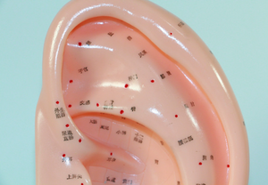 Modelo de Acupuntura de Oído, Modelo de Puntos de Acupuntura Chinos, Oído de 22 cm con Puntos de Acupuntura, Modelo de Enseñanza de Medicina - Product Image 6