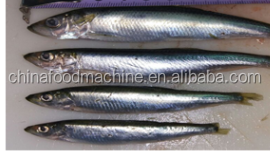 Máquina cortadora de cola de pescado/Máquina cortadora de cabeza de pescado/Cortador de cola de cabeza de pescado - Product Image 5