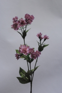 Fleur <span class=keywords><strong>de</strong></span> marguerite africaine artificielle <span class=keywords><strong>de</strong></span> haute qualité à tige unique, marguerite à <span class=keywords><strong>œil</strong></span> <span class=keywords><strong>de</strong></span> bœuf pour la décoration <span class=keywords><strong>de</strong></span> la maison, des fêtes, du jardin, du bureau, <span class=keywords><strong>de</strong></span> la boutique - Product Image 5