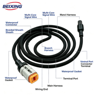 A00009 BeiXing Faisceau de câblage automobile personnalisé étanche IP66 avec isolation en PVC pour voitures et motos