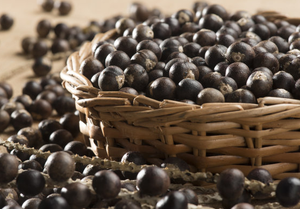 Doğa <span class=keywords><strong>Acai</strong></span> <span class=keywords><strong>Berry</strong></span> tozu % 5% Vitamin C <span class=keywords><strong>Acai</strong></span> <span class=keywords><strong>Berry</strong></span> özü - Product Image 6