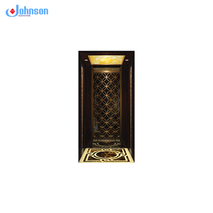 <span class=keywords><strong>Ascensor</strong></span> de Seguridad <span class=keywords><strong>Marca</strong></span> JOHNSON, Elevador de Pasajeros para 8 Personas, Buena Venta - Product Image 3
