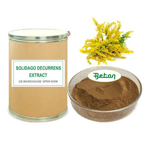 Beton Supply Plant <span class=keywords><strong>Extract</strong></span> Poeder Solidago Decurrens Guldenrod <span class=keywords><strong>Extract</strong></span> Poeder - Product Image 1