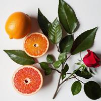 Divain 422 para Él, Eau de Parfum, Fragancia Masculina, Aroma Amaderado Primaveral, Larga Duración, Estilo Moderno, Uso Diario