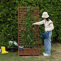 Jardinière surélevée en bois pour l'extérieur avec treillis pour pots de fleurs grimpants et jardinières