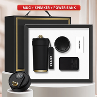 Coffret cadeau d'entreprise haut de gamme Mug + haut-parleur Bluetooth + batterie externe Logo personnalisé Articles de réunion Coffret cadeau d'affaires de luxe