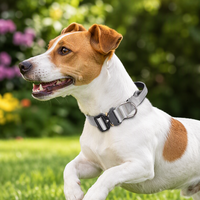 Collier tactique pour chien, résistant à l'usure, multicolores, réglable, pour l'entraînement en extérieur, pour chiens de taille moyenne/grande.