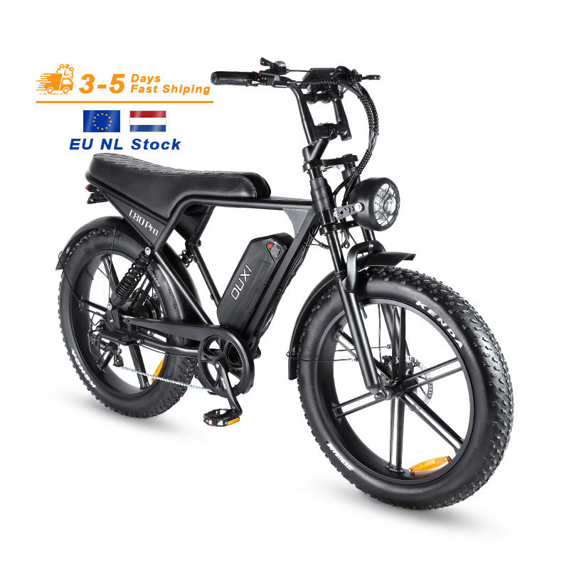 Wholesale Person Electric Bikes High Power Flexibility